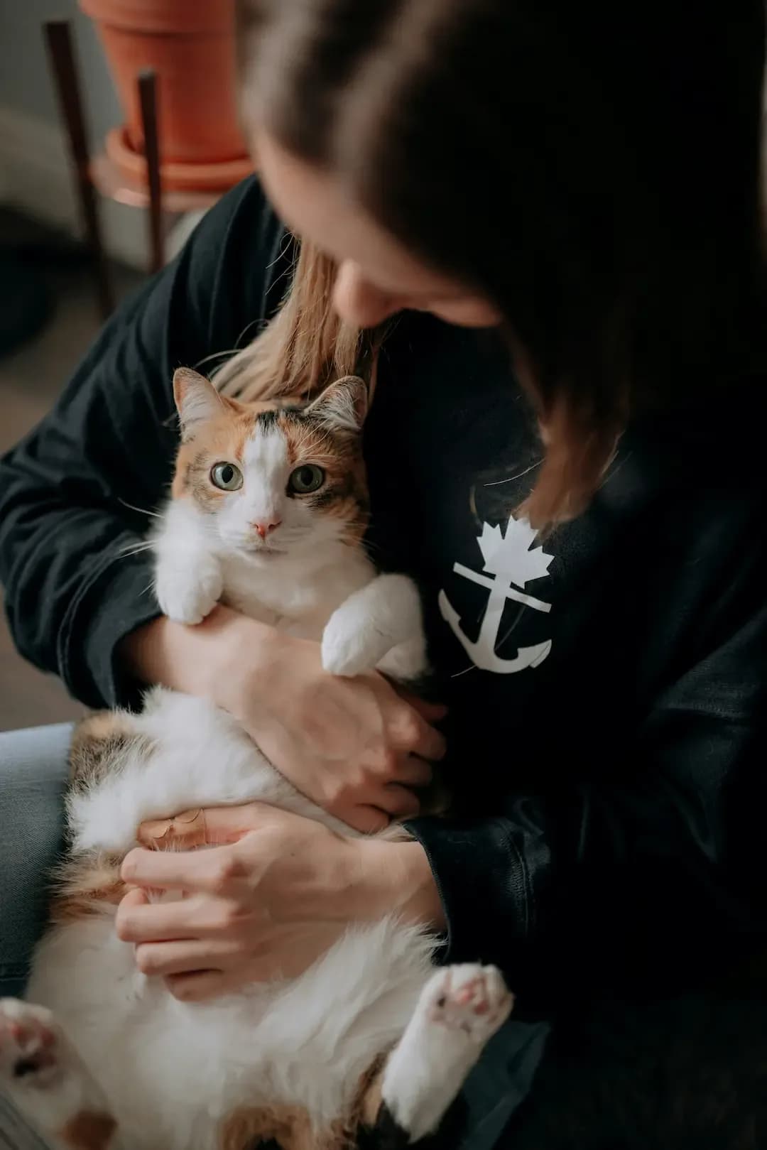 Emotional support cat with owner