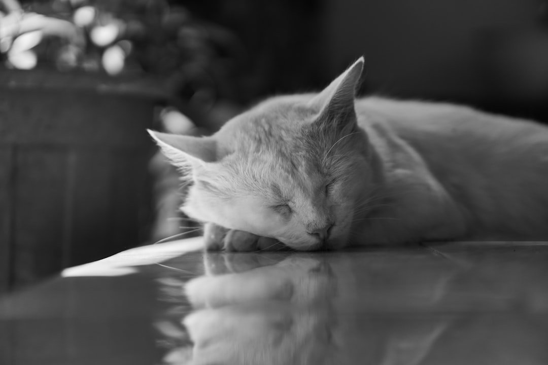 Burnout Is Real: How to Recognize It and Reclaim Your Energy