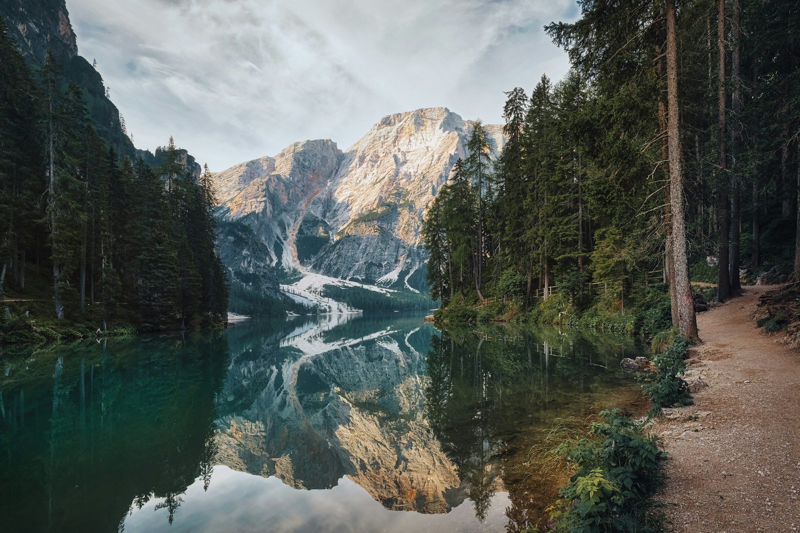 Earth Day Every Day: Environmentalism for Mental Health