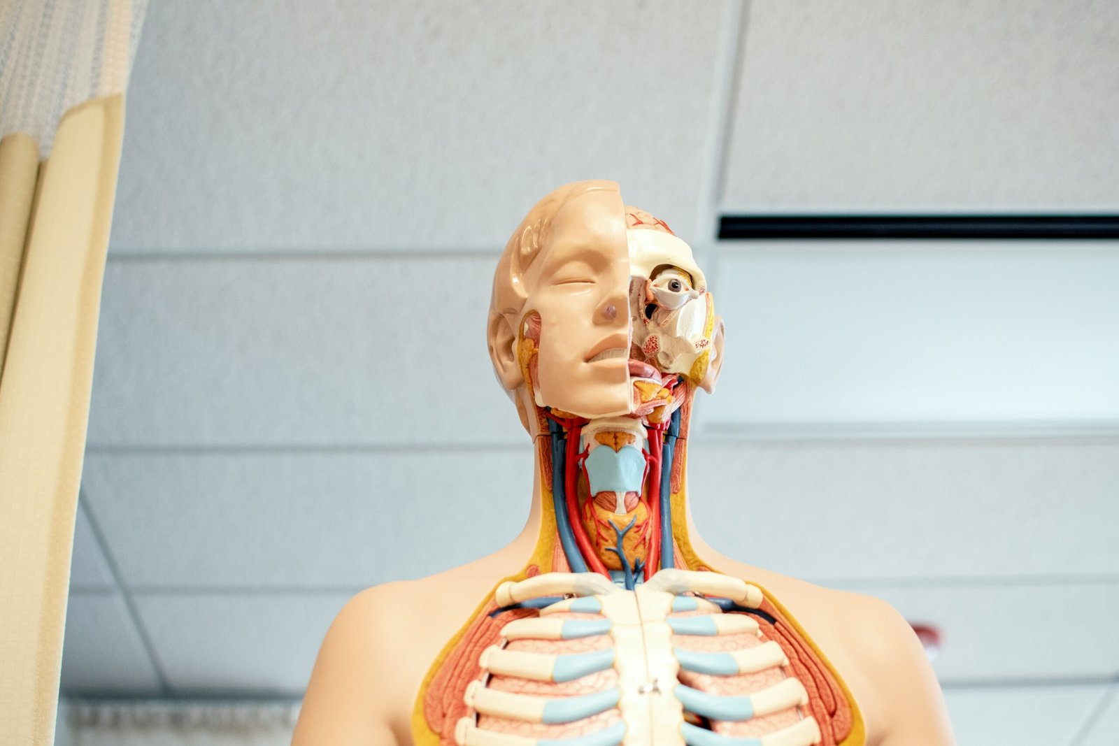 Healing the Nervous System: Regulating After Trauma