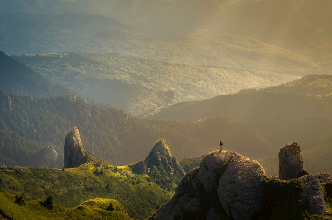Navigating Emotional Overload: Understanding Your Mind and Body's Needs
