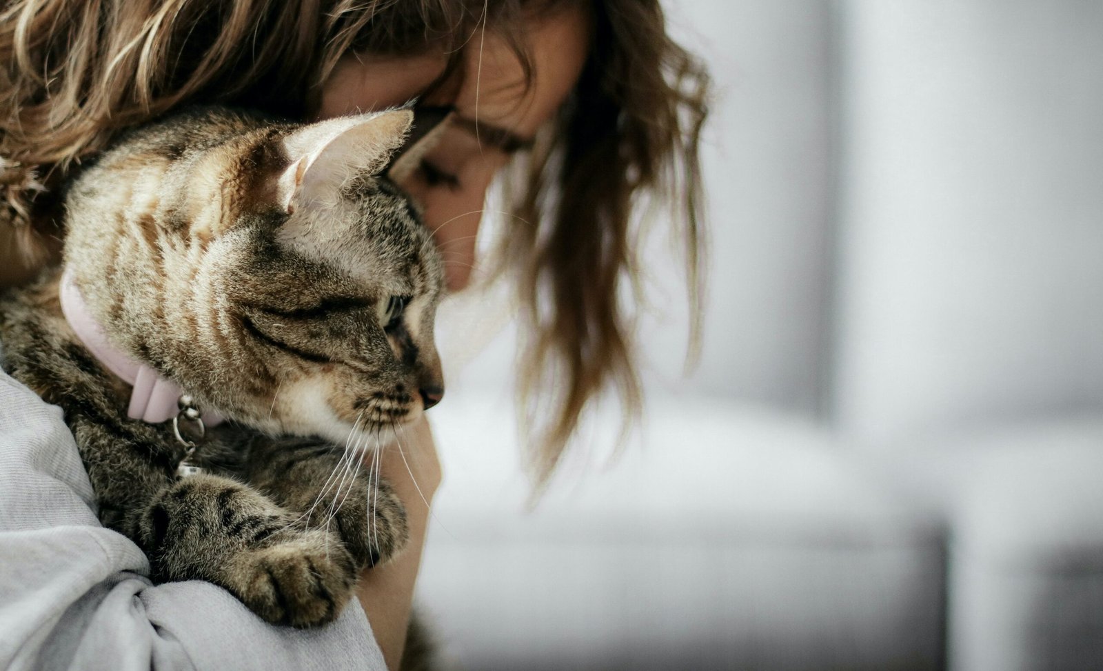 The Benefits of Having an Emotional Support Animal